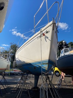 IMG_8386 Small.jpeg