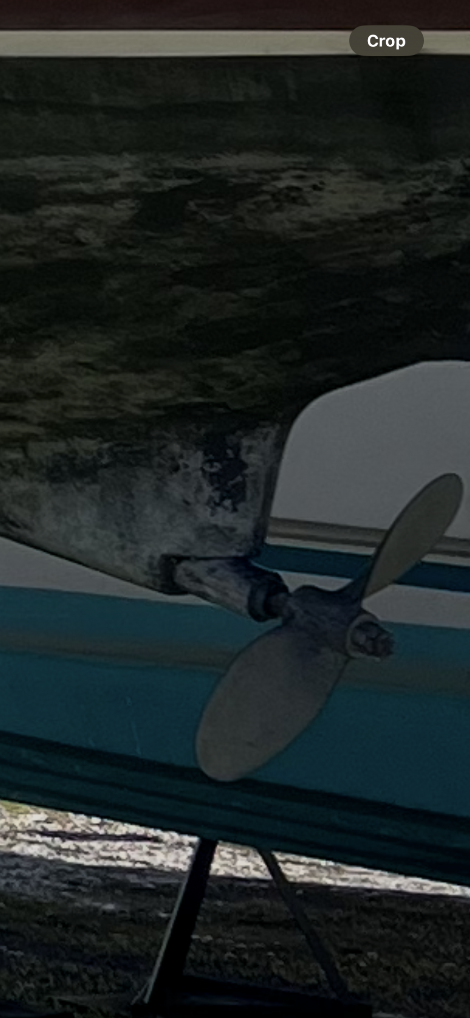 IMG_8908.png