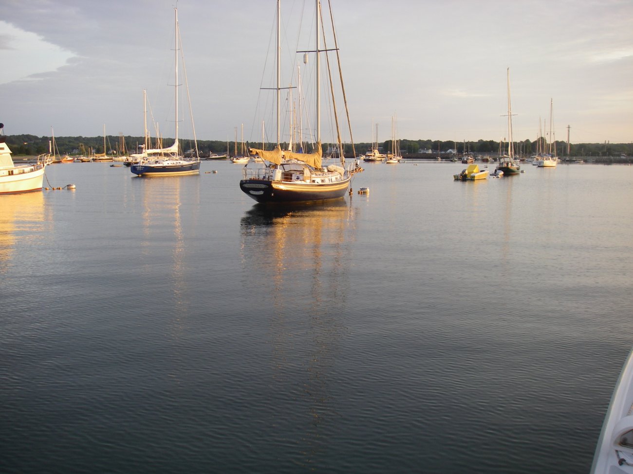 IMGP1164.JPG