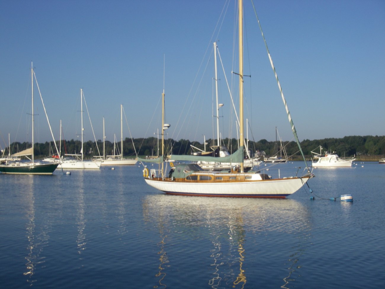 IMGP1588.JPG