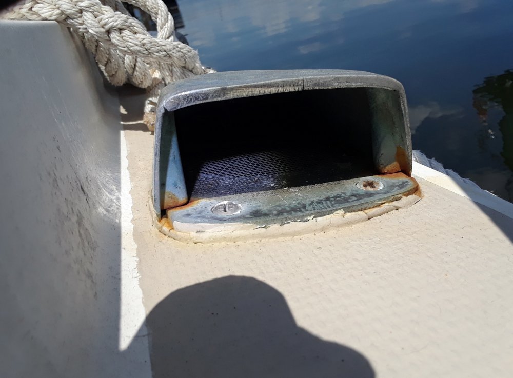 Insect screen in fuel vent.jpg