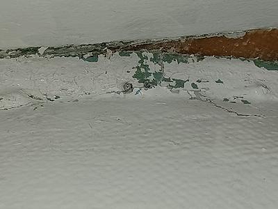inside.jpg