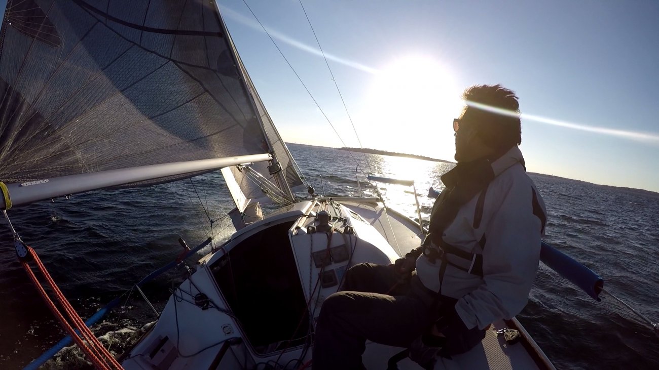 into the sun.jpg