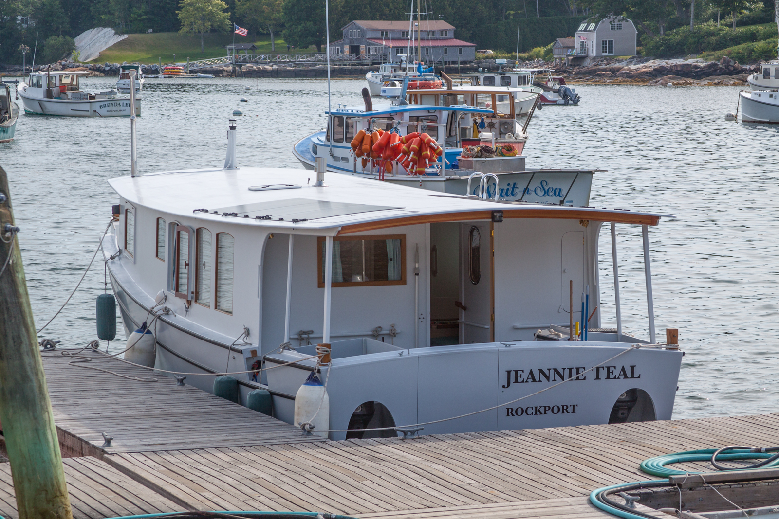 Jeannie Teal bow.jpg