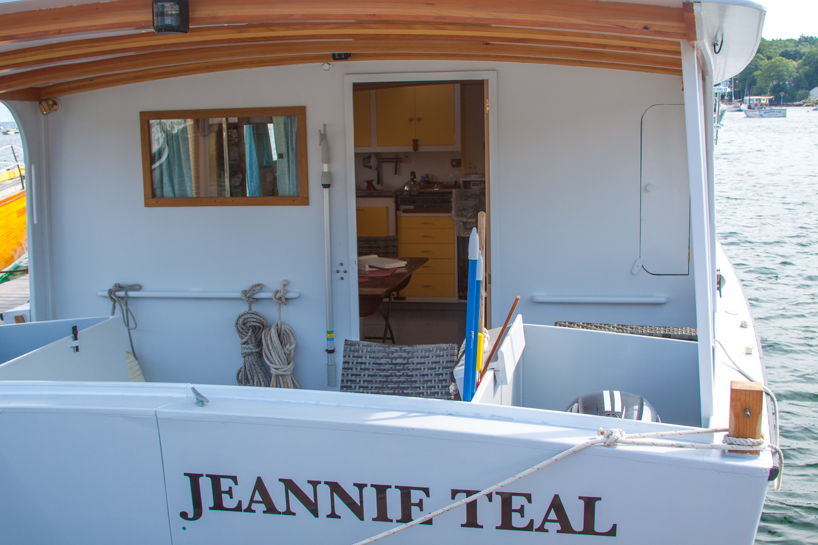 Jeannie Teal close.jpg