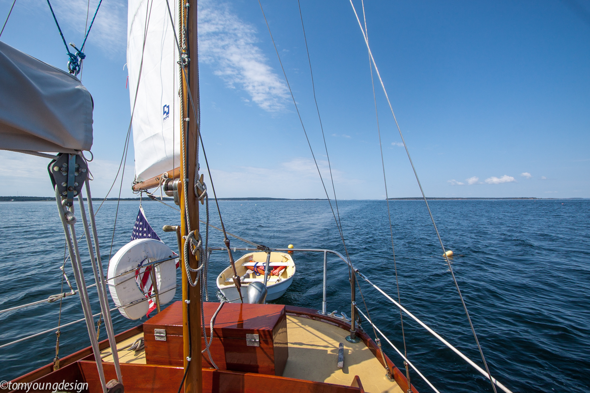 Jericho Bay lobster buoys.jpg
