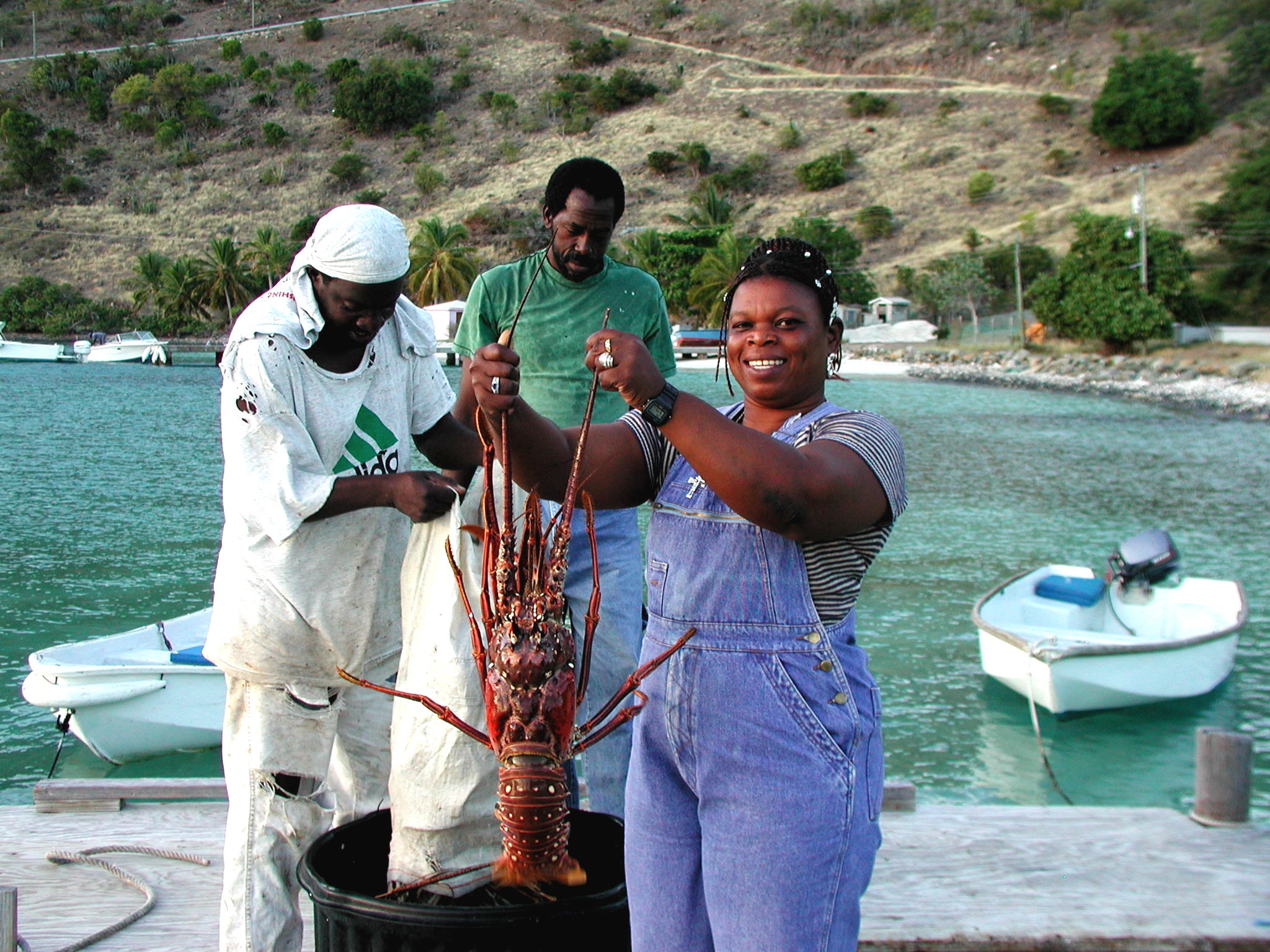 JOST VAN DYKE LITTLE HARBOR.JPG
