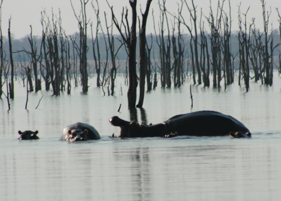 kariba.jpg