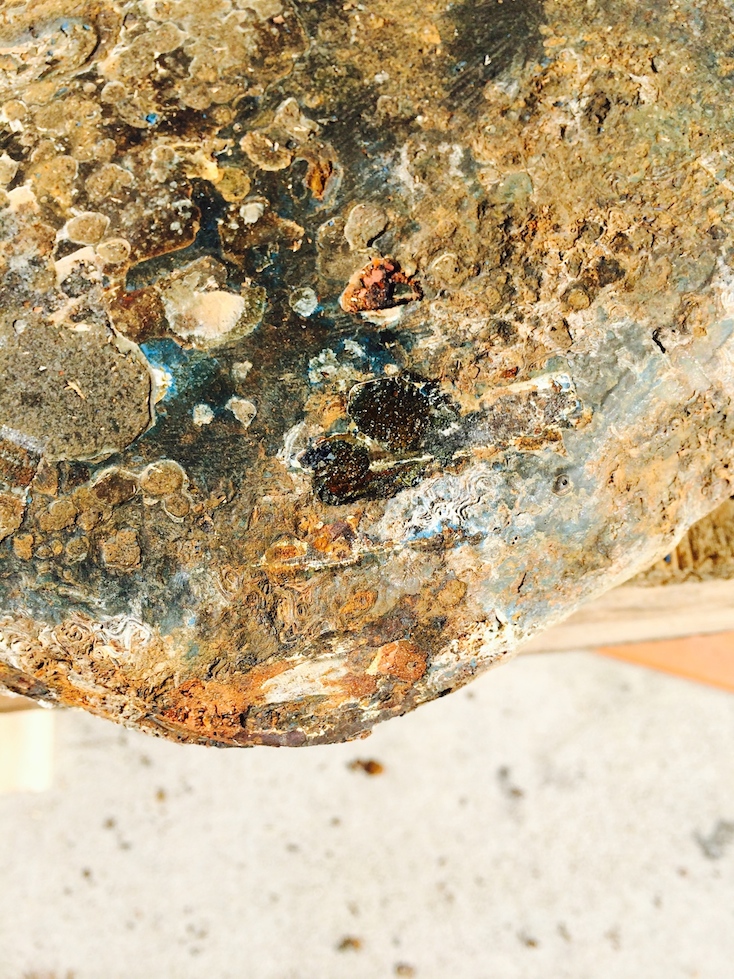 Keel Rust Weeping 2.jpg