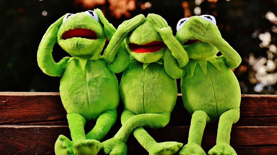 kermit.jpg