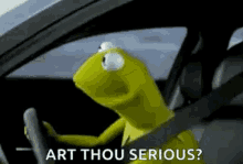 kermit-the-frog-car.gif