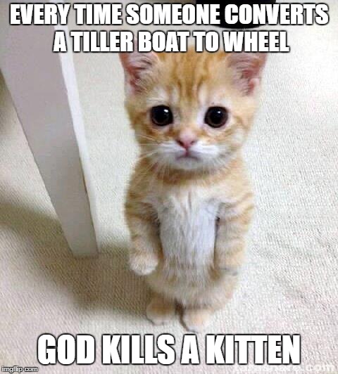 kitten 1.jpg