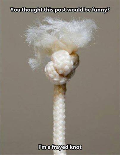 knot.jpg