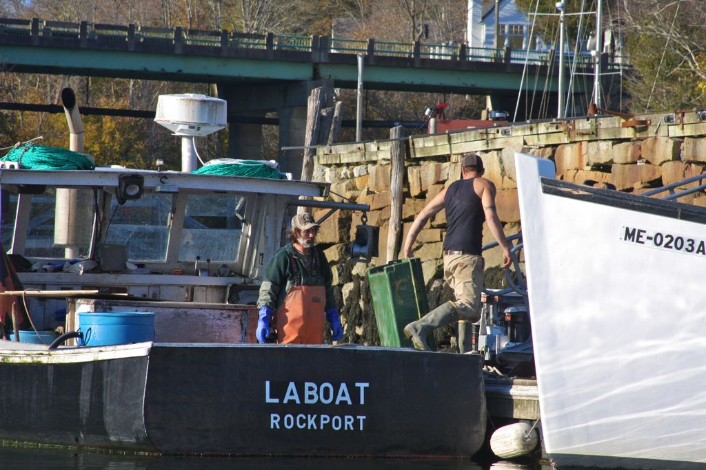 LABOAT.jpg