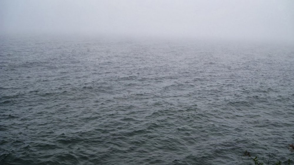 Lake Fog.jpg