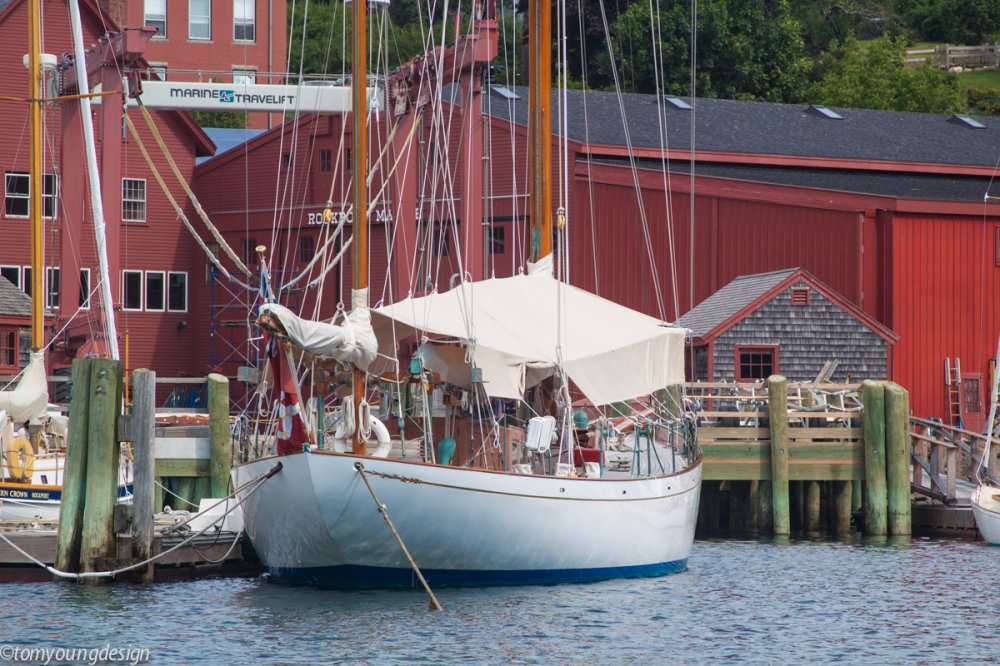 Latifa stern.jpg