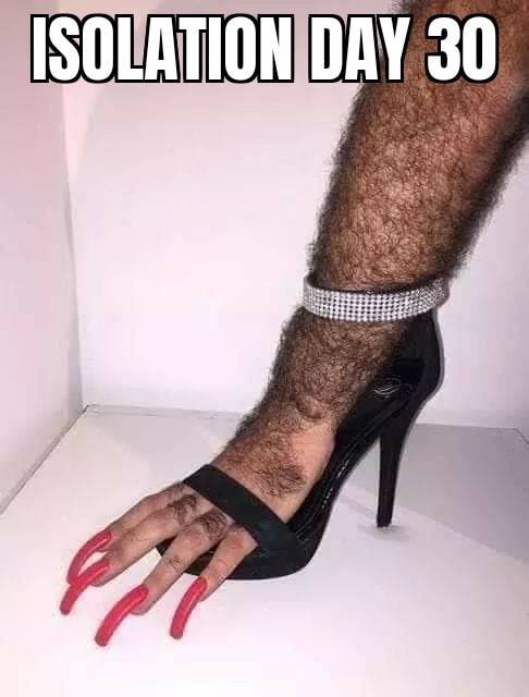 leg.jpg