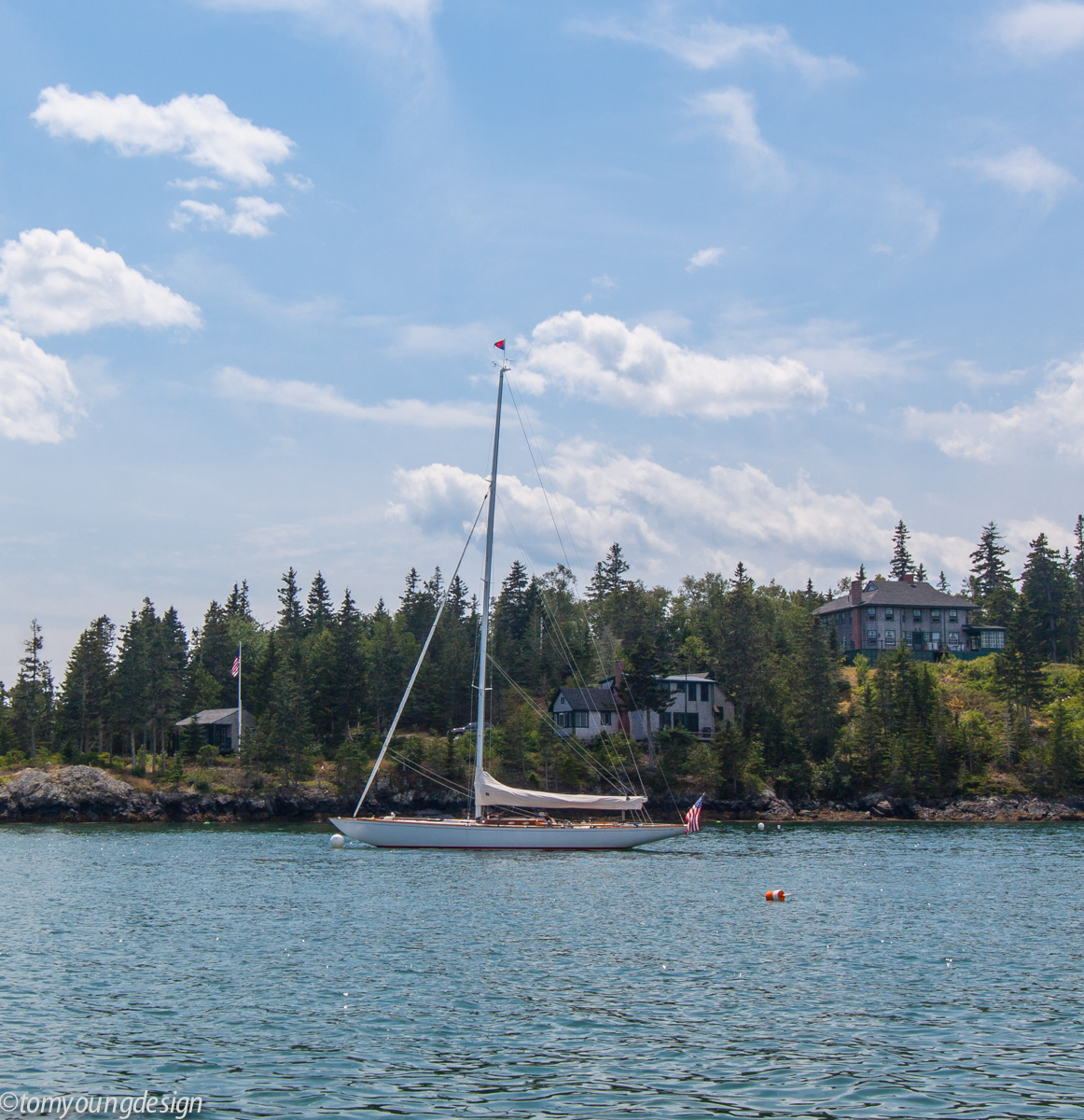 Libertine moored.jpg