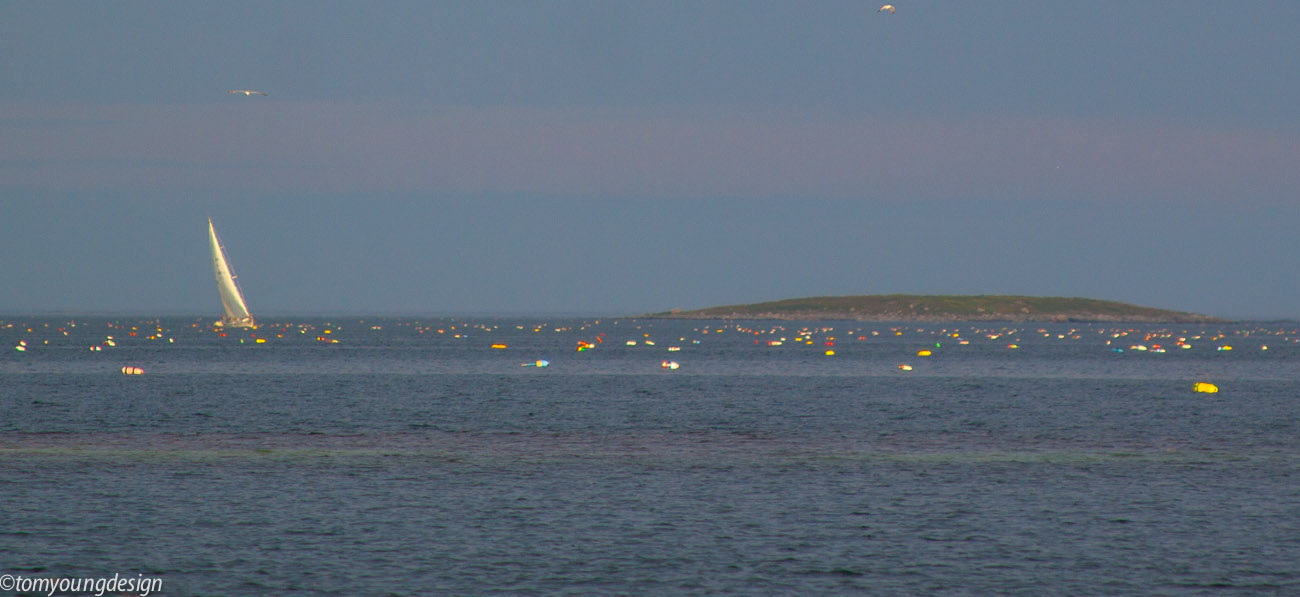 Lobster trap buoys 2020._.jpg