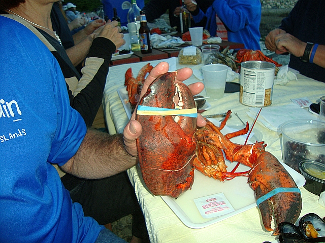 Lobster2.jpg