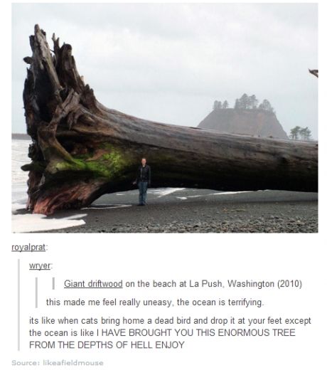 log2.jpg