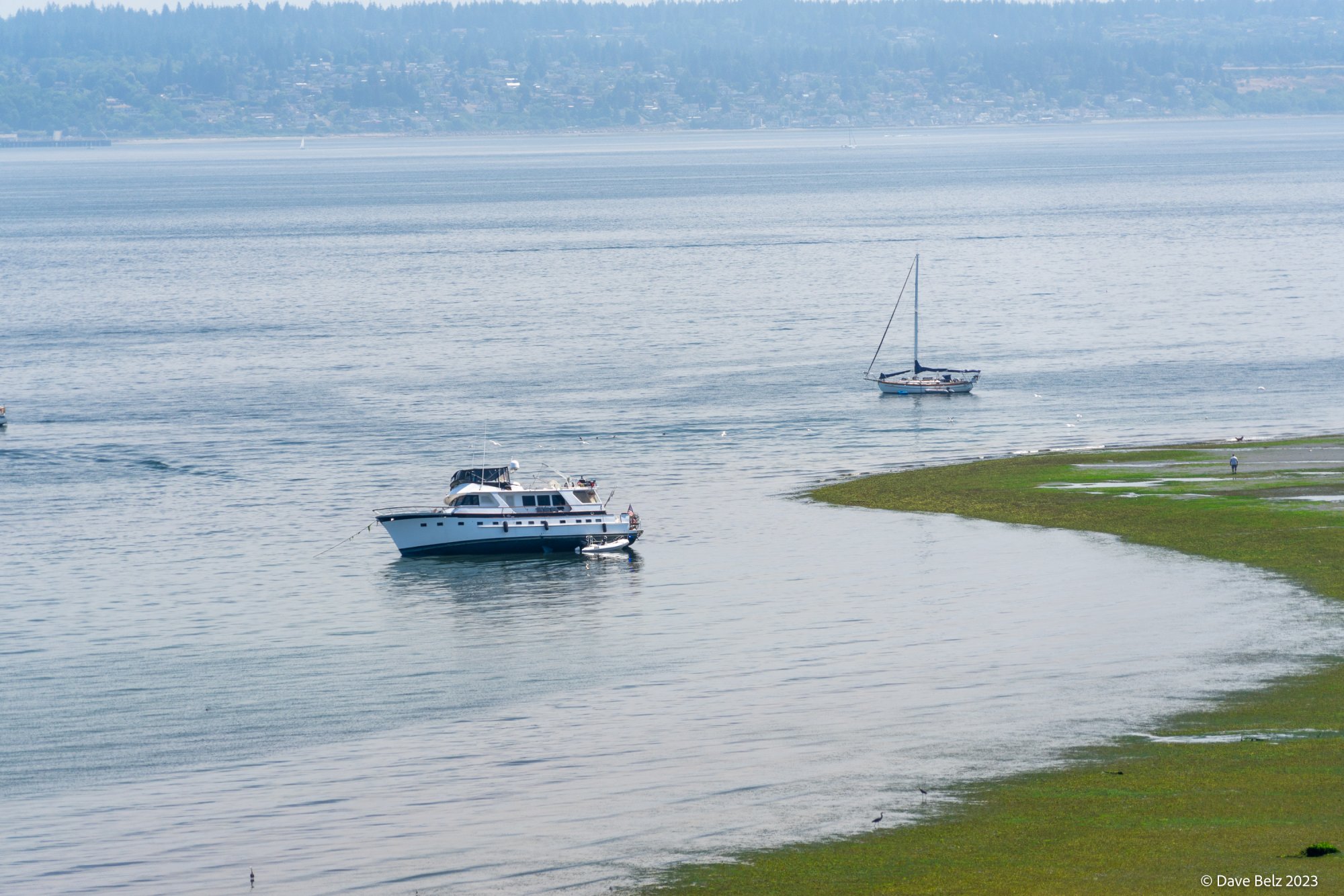 Low Tide-1.jpg