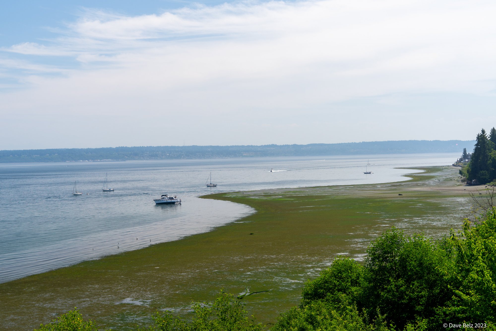Low Tide-2.jpg
