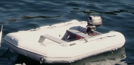 LSI-310 Achilles Before.JPG