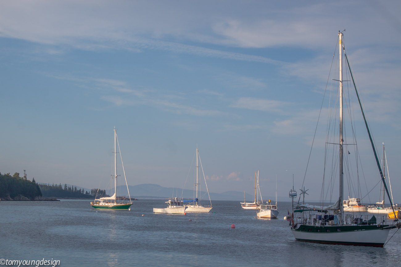 Lunts Lobster dock harbor view.jpg