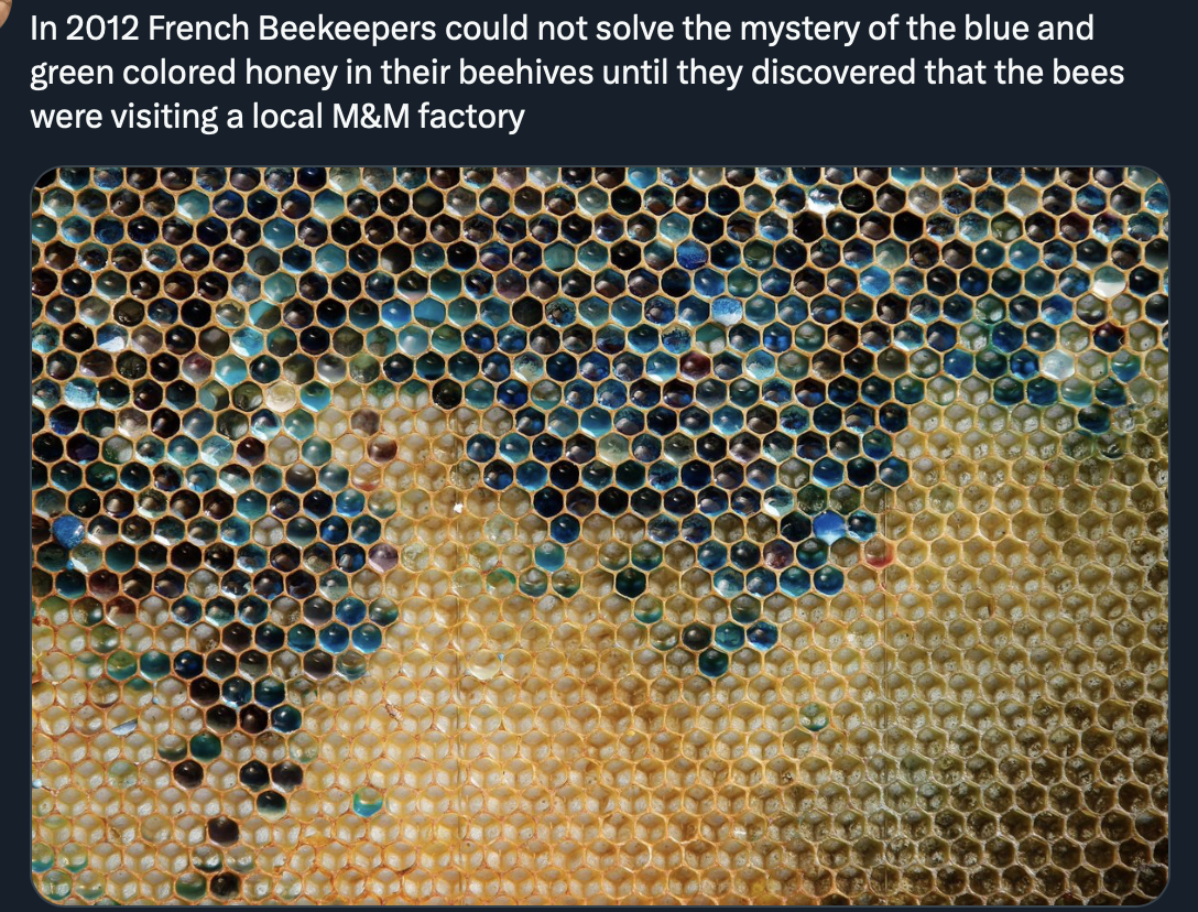 M&Ms.png