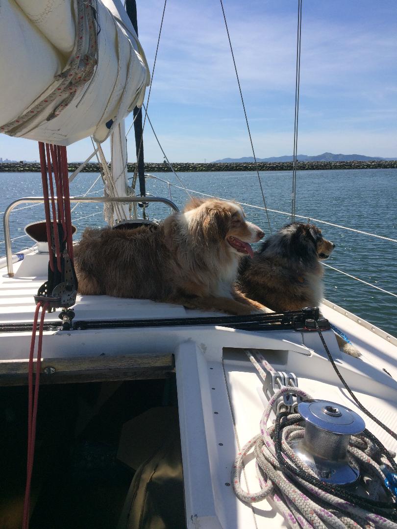 mainsheet.jpg