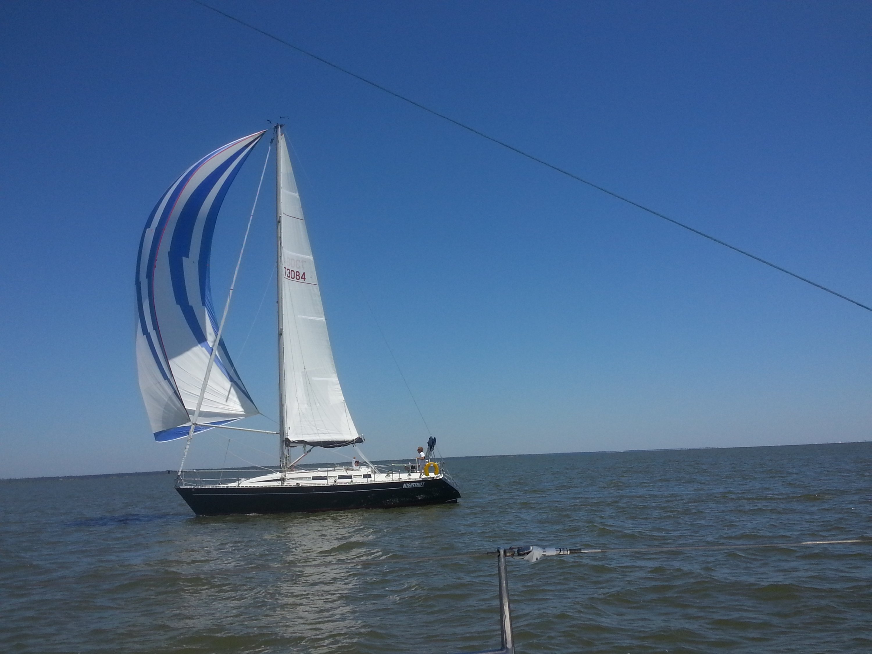 mandeville race.jpg