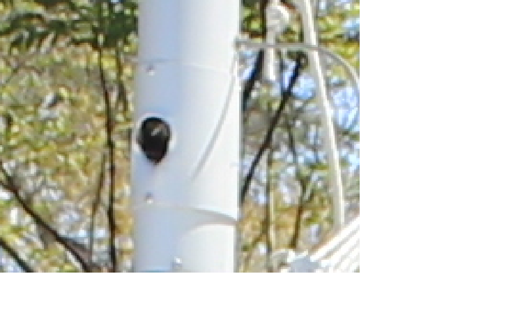 mast lift pole plate.png