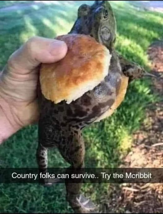 mcribbit.jpg