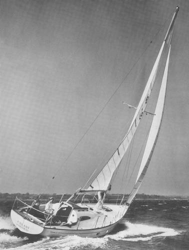 medalist_33_mkI_photo.jpg