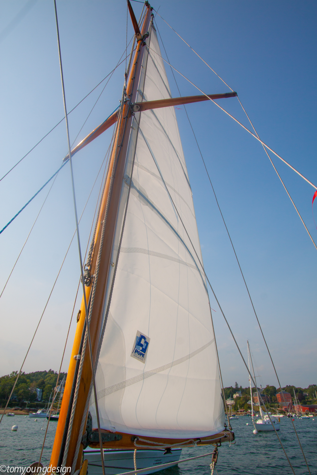 Mizzen 1 (1 of 1).jpg