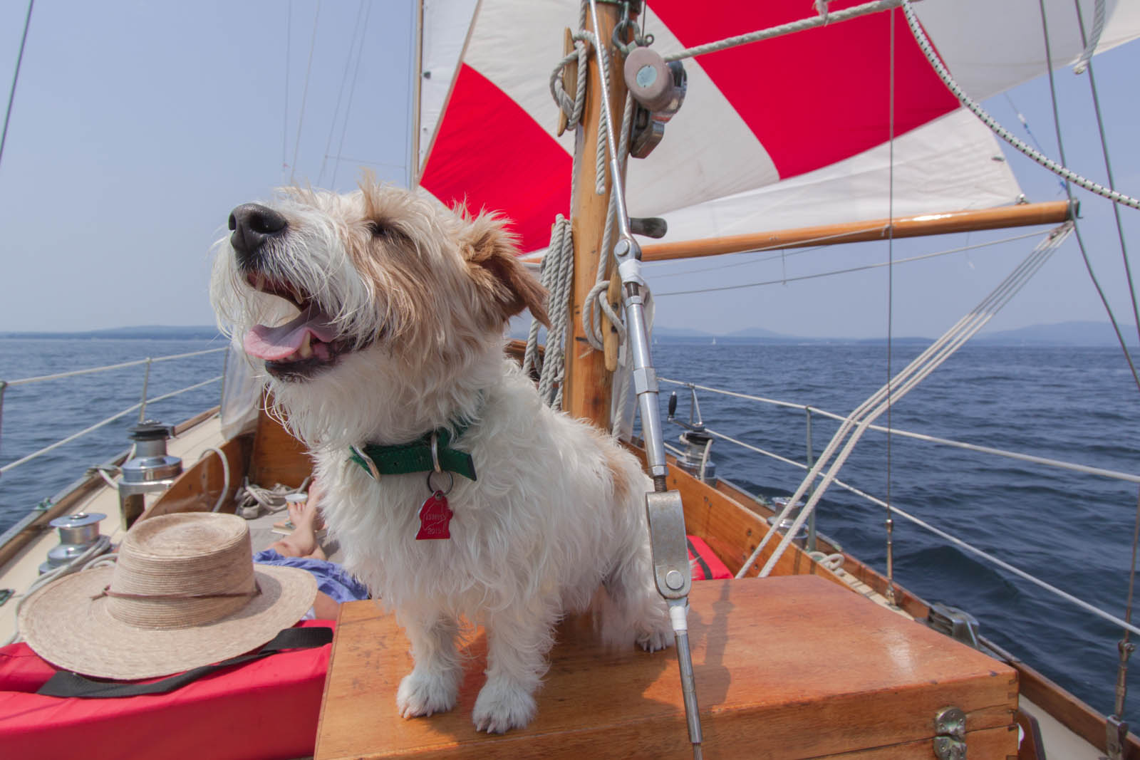 Mizzen staysail broad reach Tommy (1 of 1).jpg