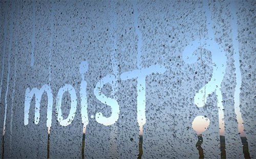 moist.jpg