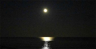 moon.jpg