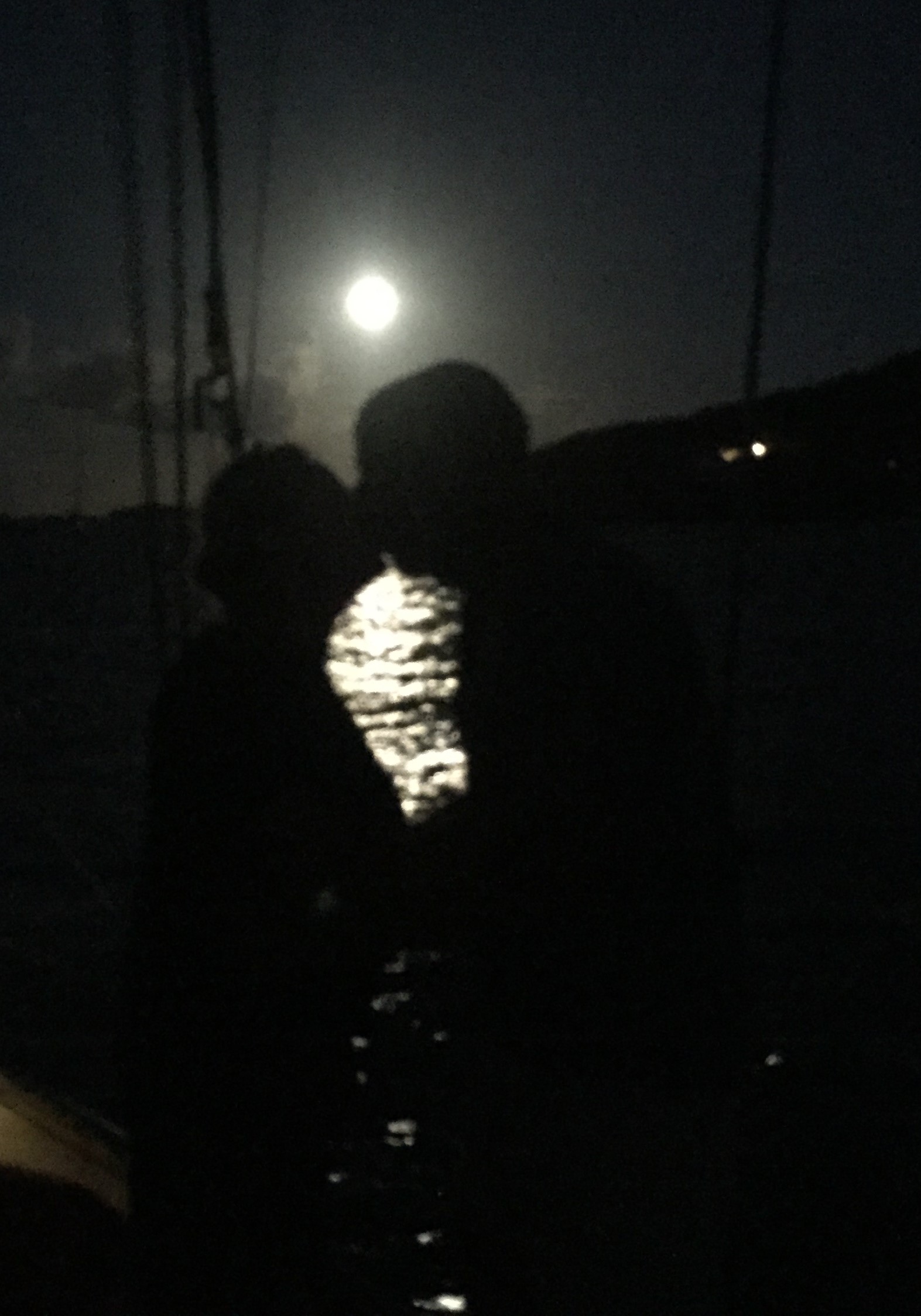 Moon Kiss.jpeg