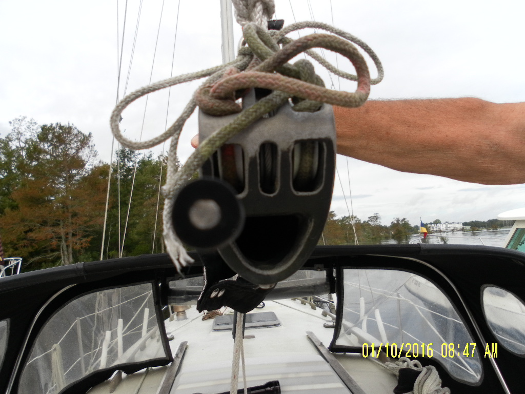 Mystery Rod 1.JPG