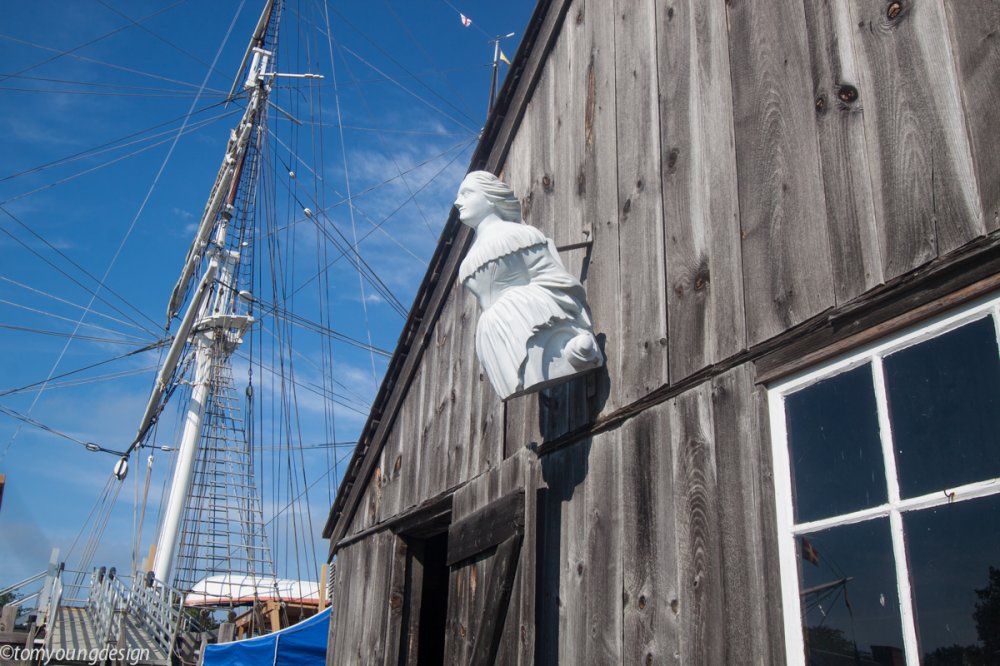 Mystic Siren, whaling ship_.jpg