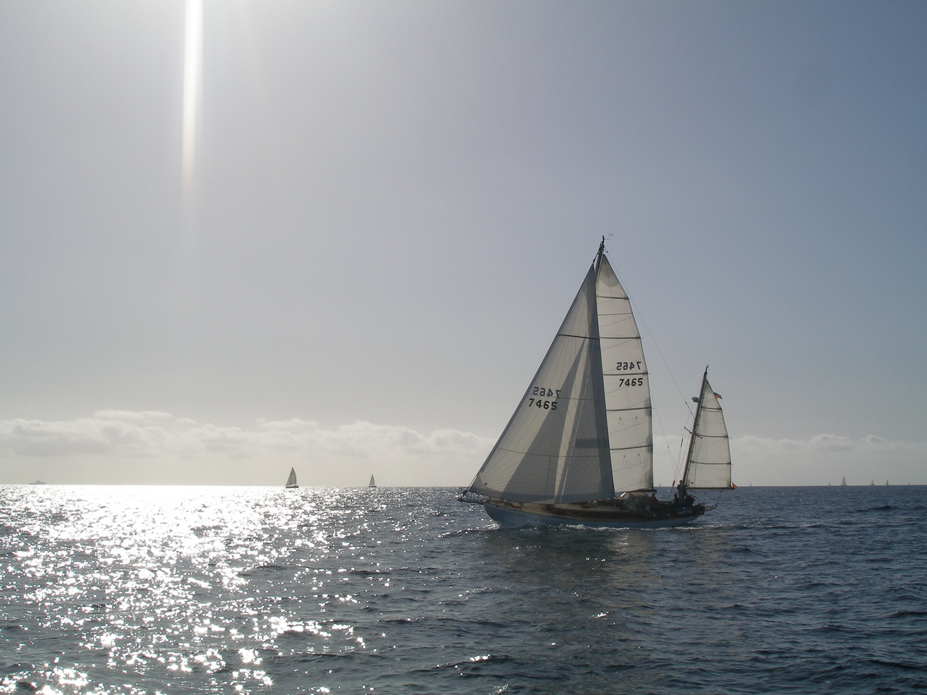 N-E 2010 081.jpg