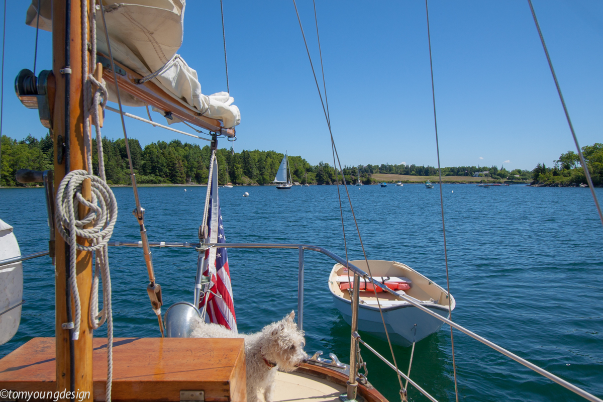 NAMO sailing out.jpg