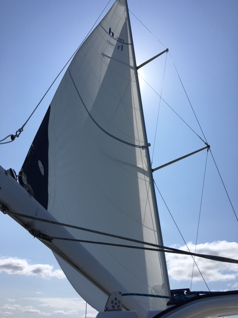 new sail.jpg