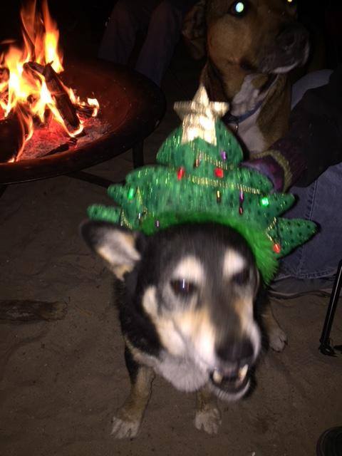 new_years16.jpg
