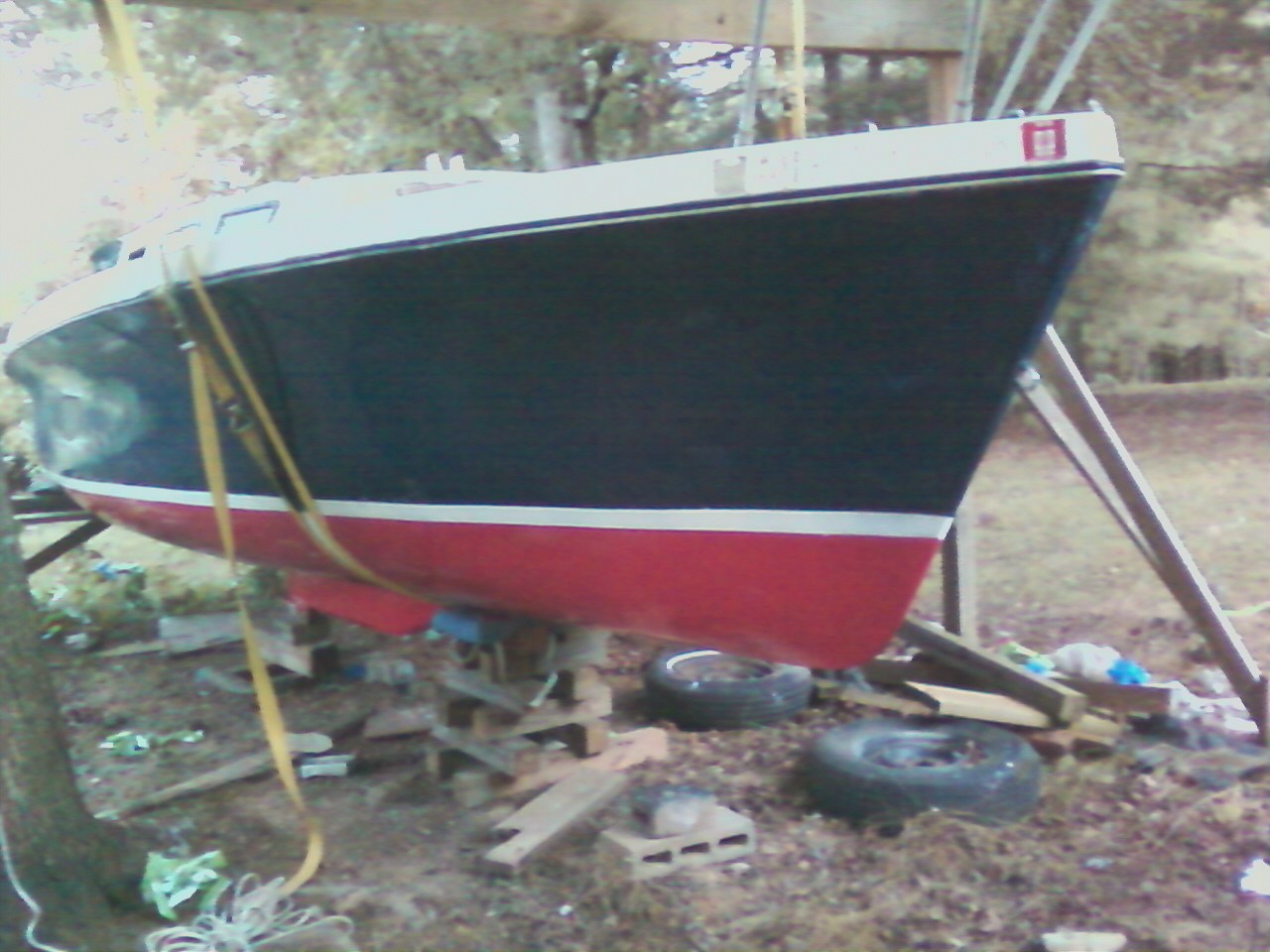 newpaint_front.jpg