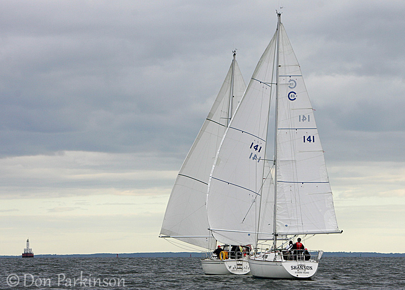NN9W7356.16544159_large.jpg