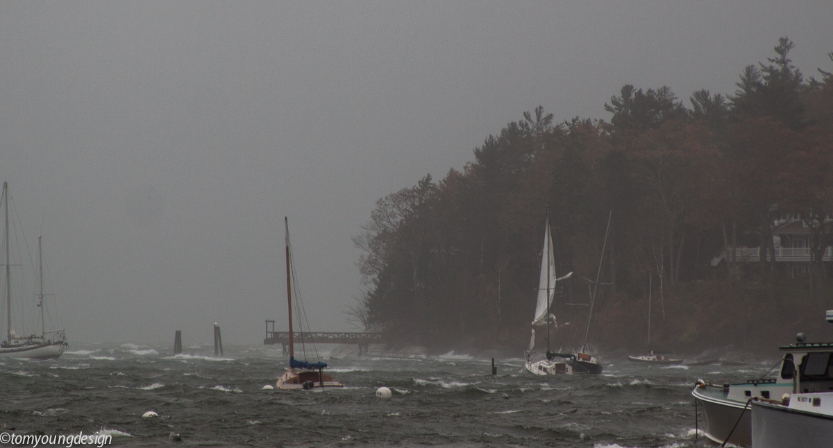 October 30 gale+ shredded jib.jpg