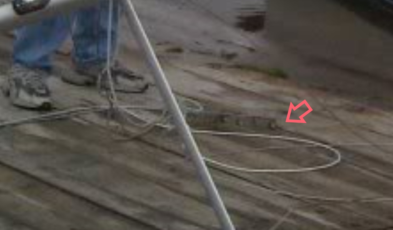 oday detail.jpg